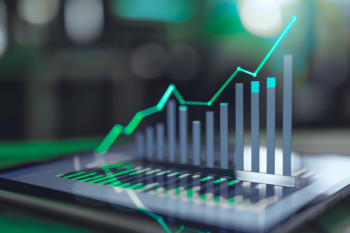 Chief Financial Officer Services (1)